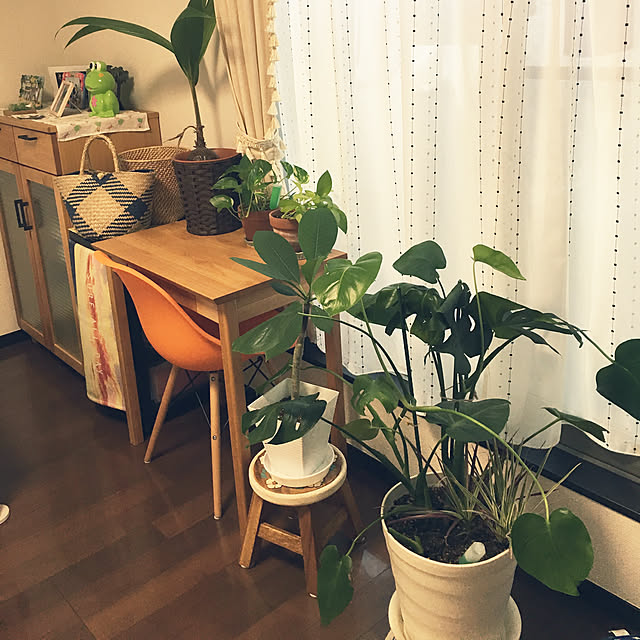 sohanaさんの実例写真
