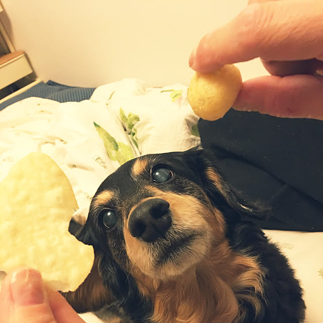 ohanaさんの実例写真