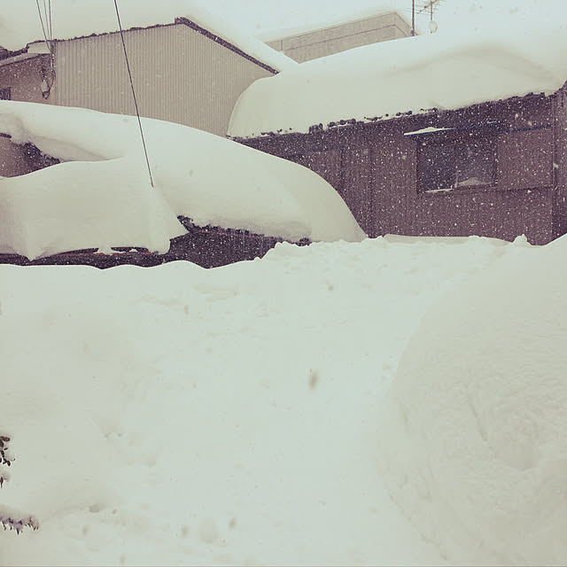 u-kichi-.-561223さんの実例写真