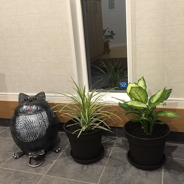 misanさんの実例写真