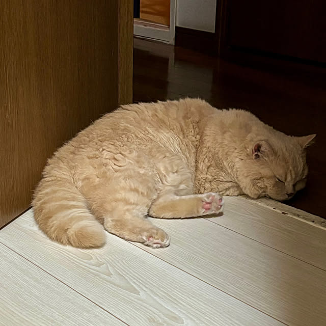 naokoさんの部屋