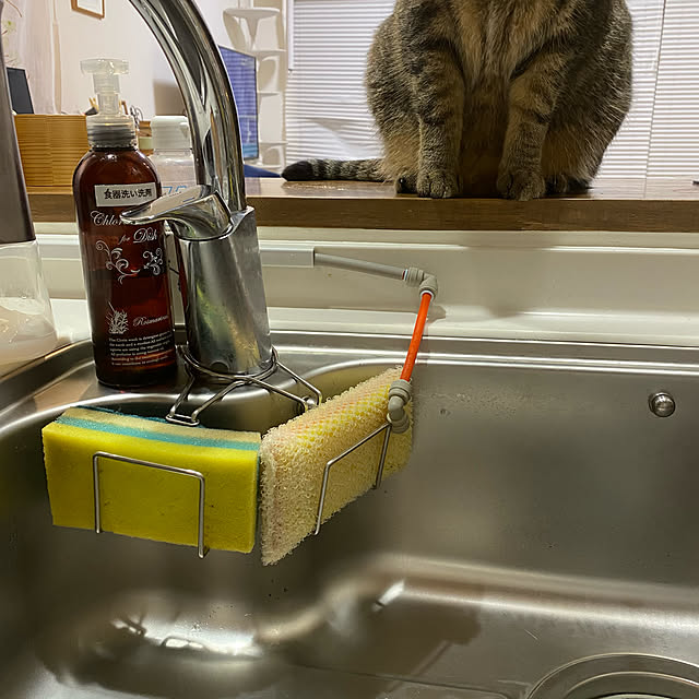 mikomaruさんの実例写真