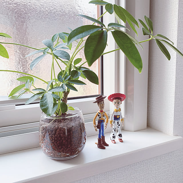 雑貨/観葉植物/玄関/入り口のインテリア実例 - 2021-09-29 19:56:29