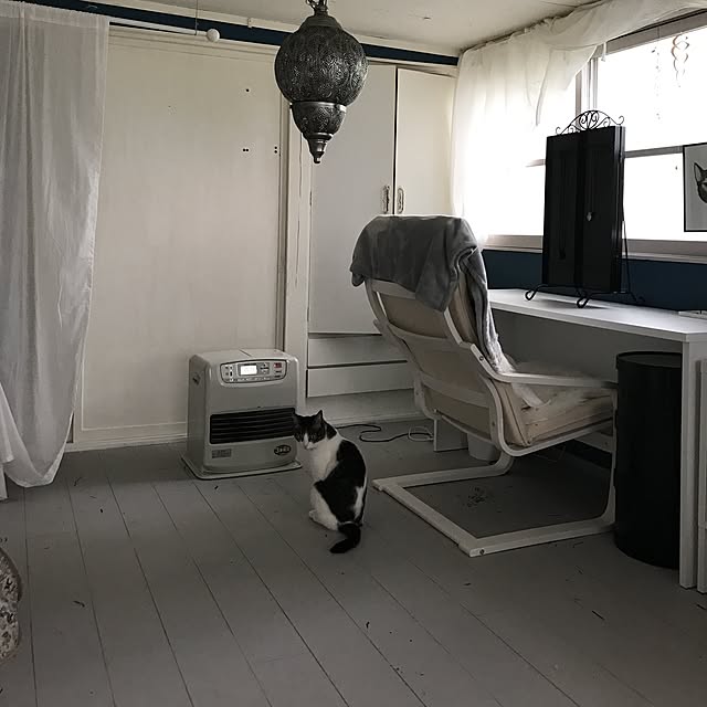 Shihoさんの実例写真