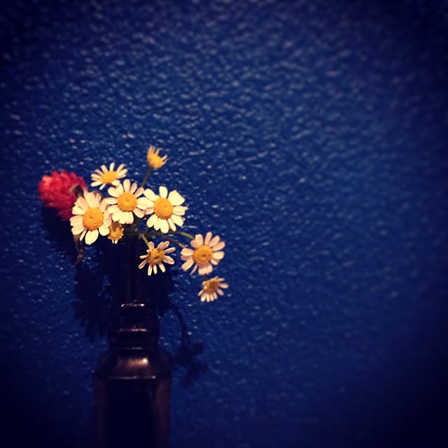 kayuraさんの実例写真