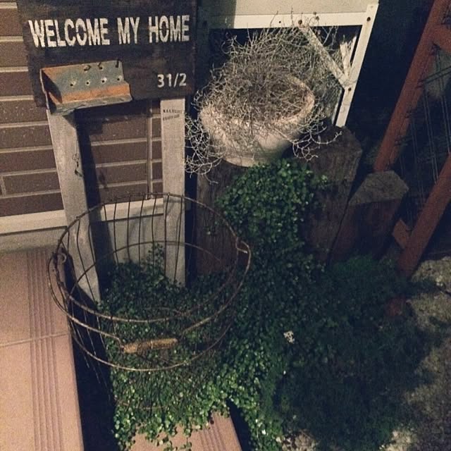 mascheさんの実例写真