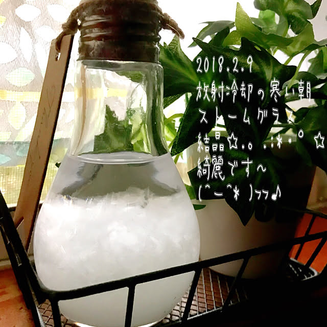 haruさんの実例写真