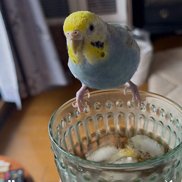 Atsukoさんの部屋