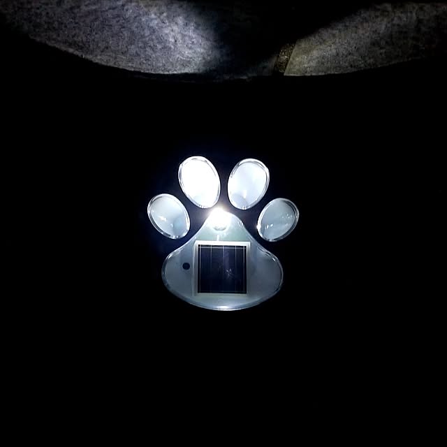 momozouさんの部屋