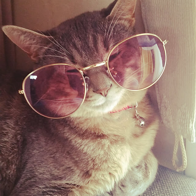 oyumiさんの実例写真
