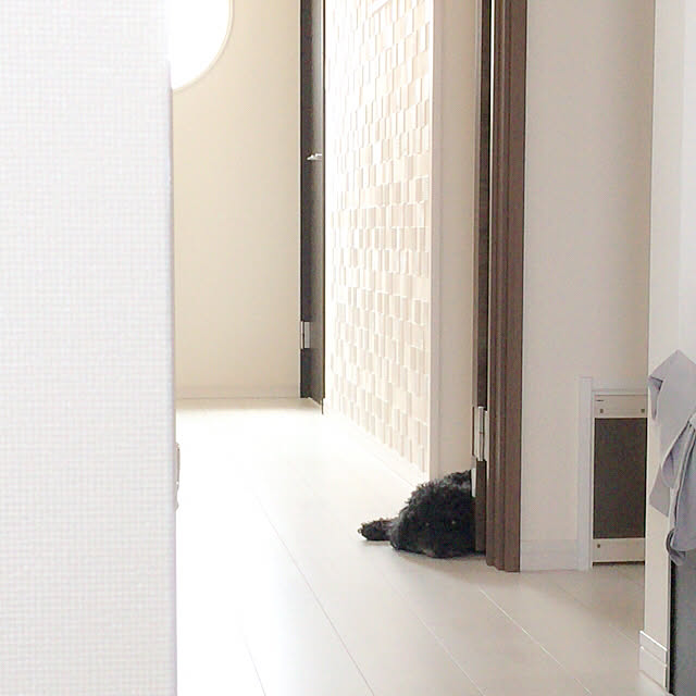 Mamiyさんの実例写真