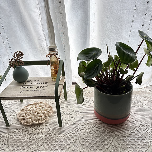 mii-tanさんの部屋