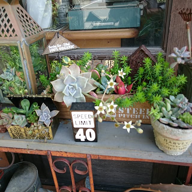 Etsukoさんの実例写真