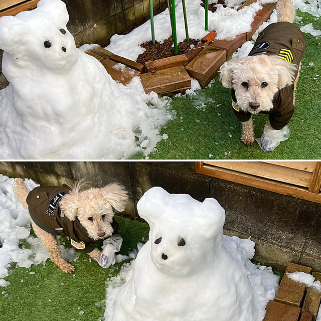 yukarimamaさんの実例写真