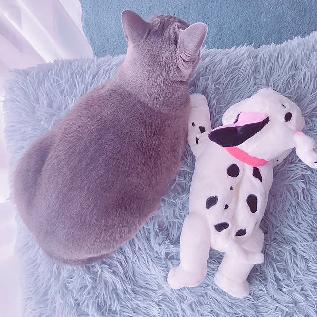 snoopyさんの部屋