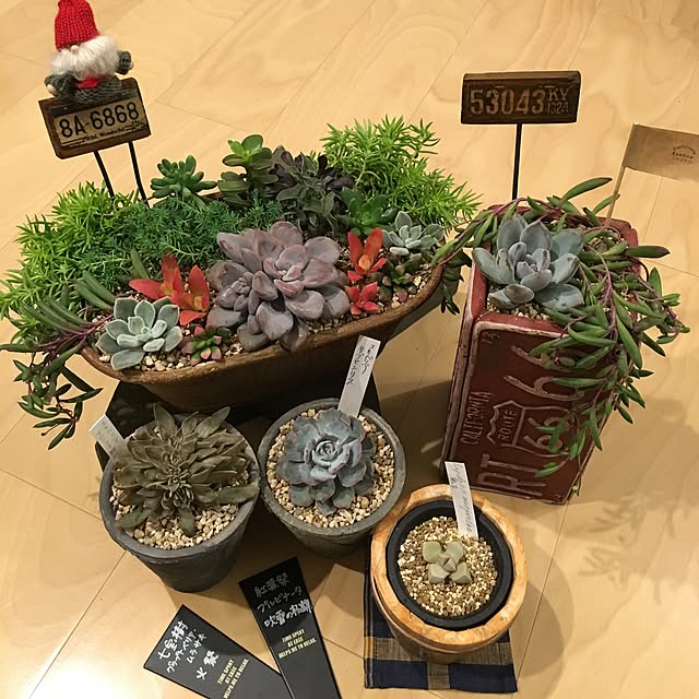 bon-bon-hippieさんの実例写真