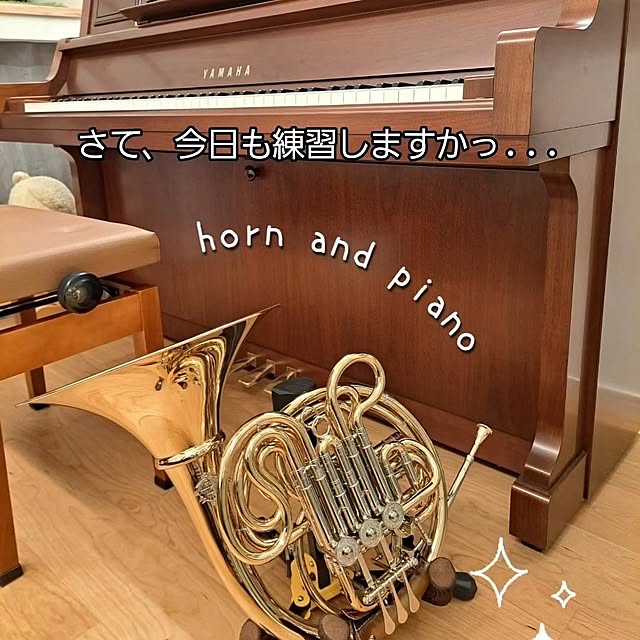 kankanmom_horn_5catsさんの実例写真
