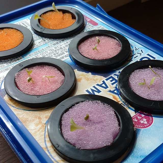 raraさんの部屋