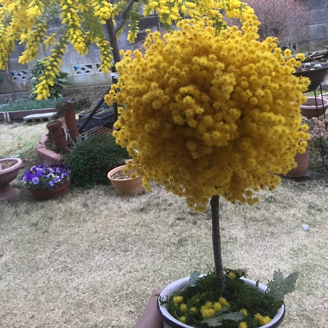 ten_tenさんの実例写真