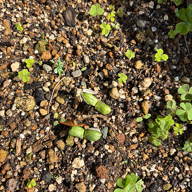 ritsukoさんの部屋