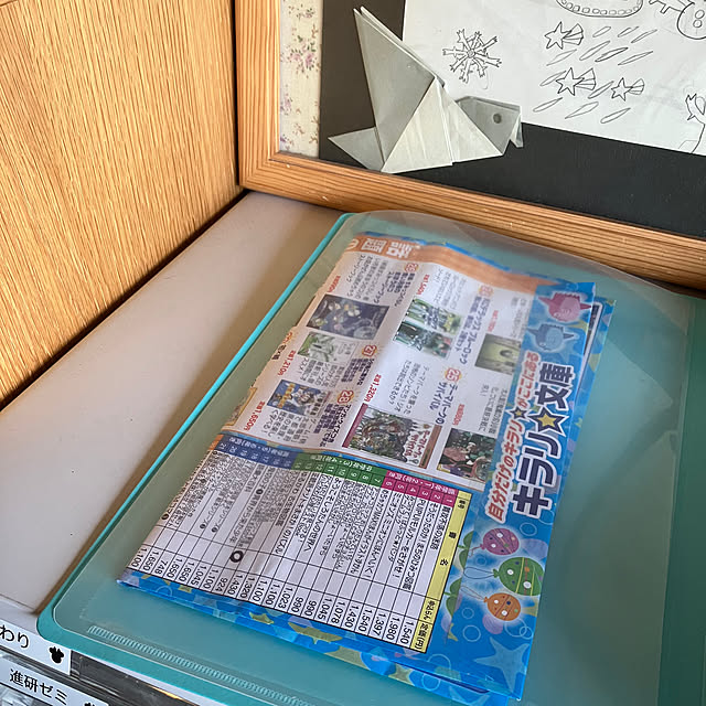 koshiregutyoさんの部屋