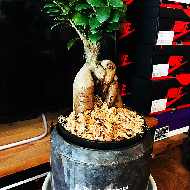 hiroさんの実例写真