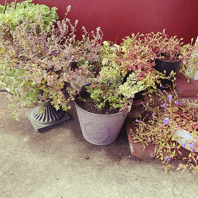 AYUKOさんの実例写真