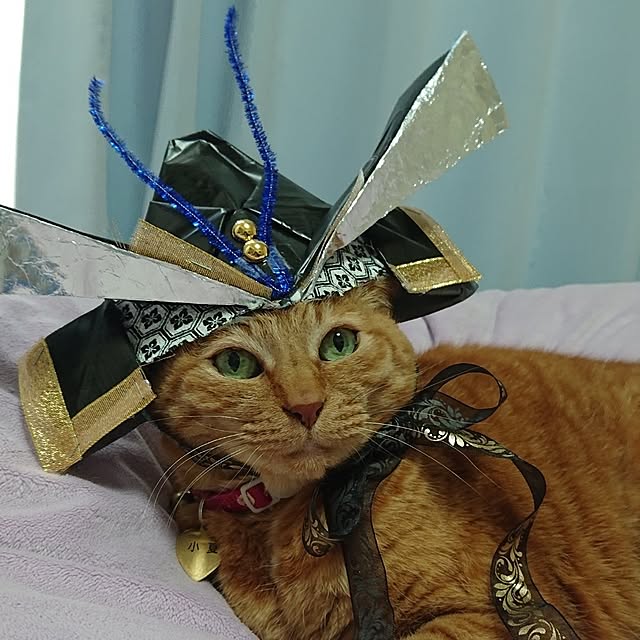 NOAHさんの部屋