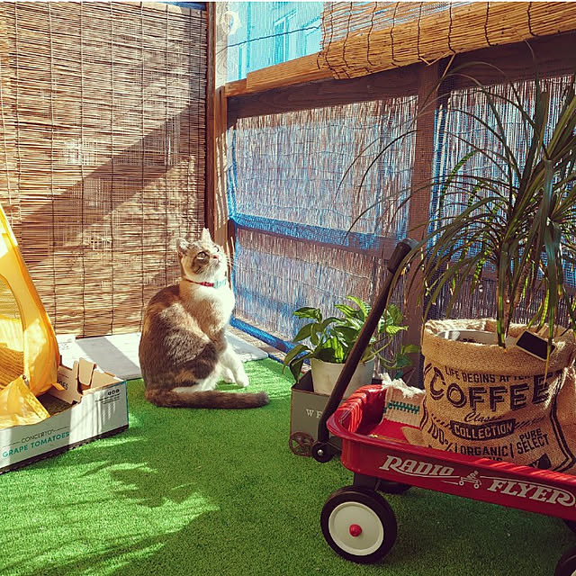 fukuさんの実例写真
