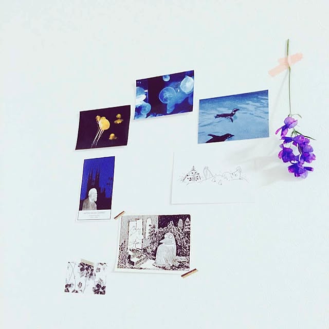 mer404さんの実例写真