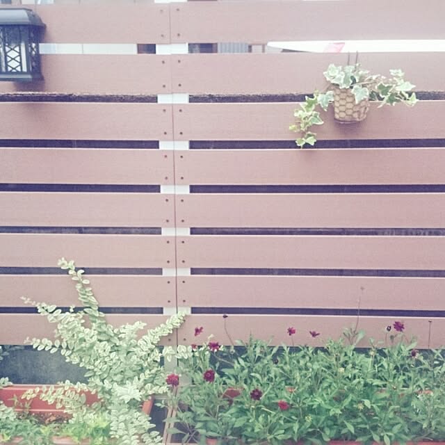 nico_nico212さんの実例写真