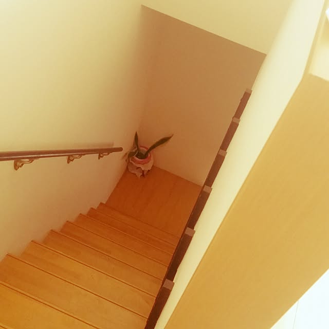 ribubuさんの実例写真