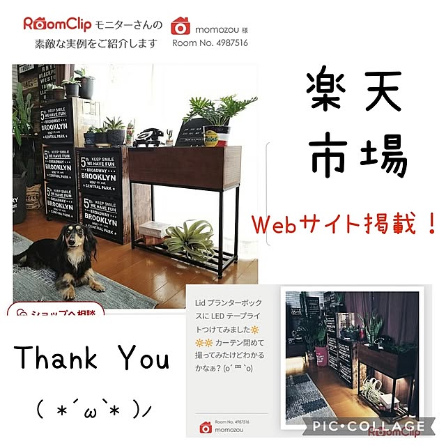 momozouさんの実例写真