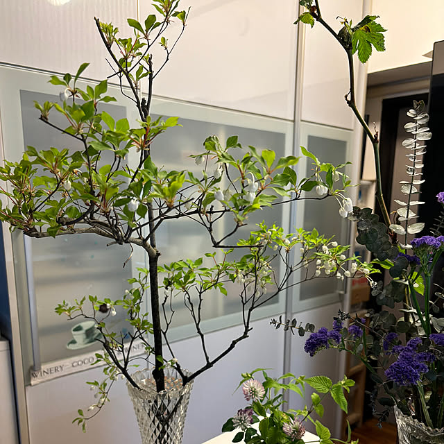 syutmmさんの部屋