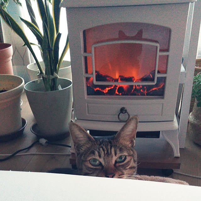 futukoさんの実例写真