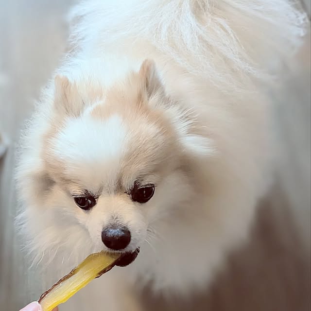 noahさんの部屋