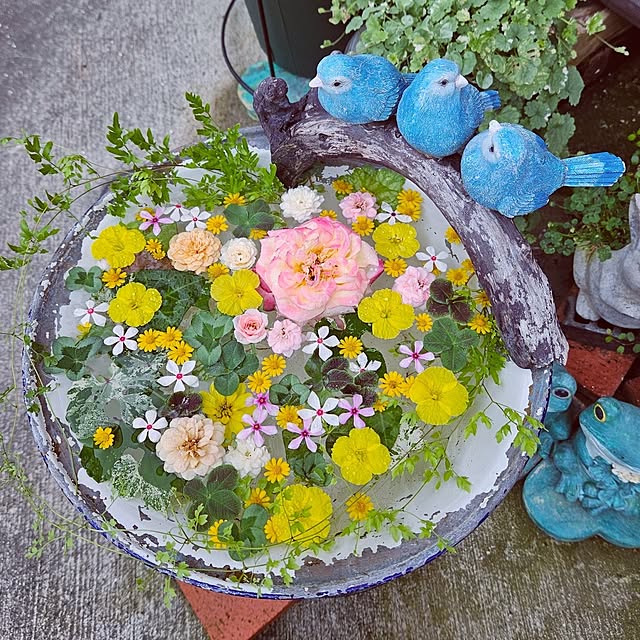 mocomocoさんの実例写真