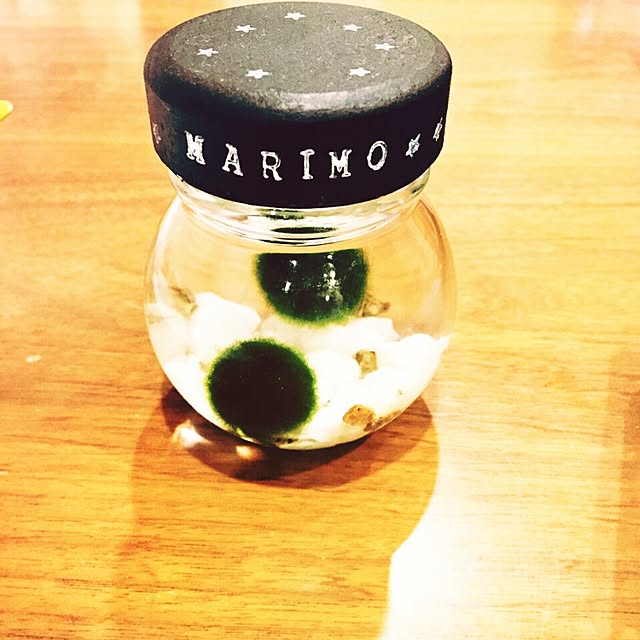 omiryugun3さんの実例写真