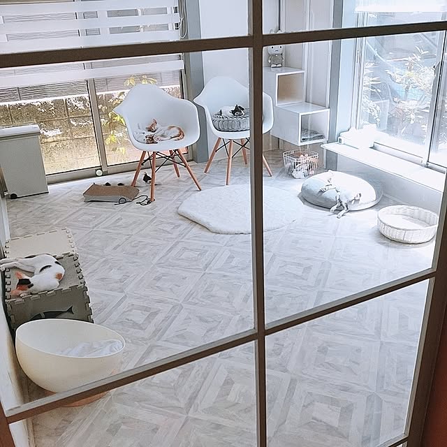kirakirahikaruさんの部屋