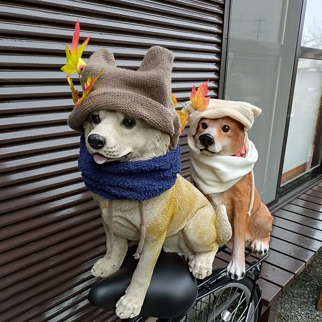 NOAHさんの部屋