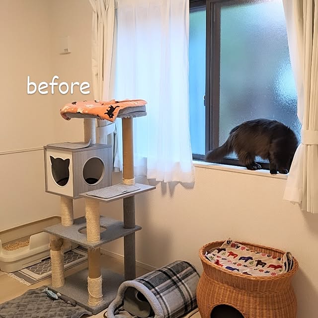 kumiさんの部屋