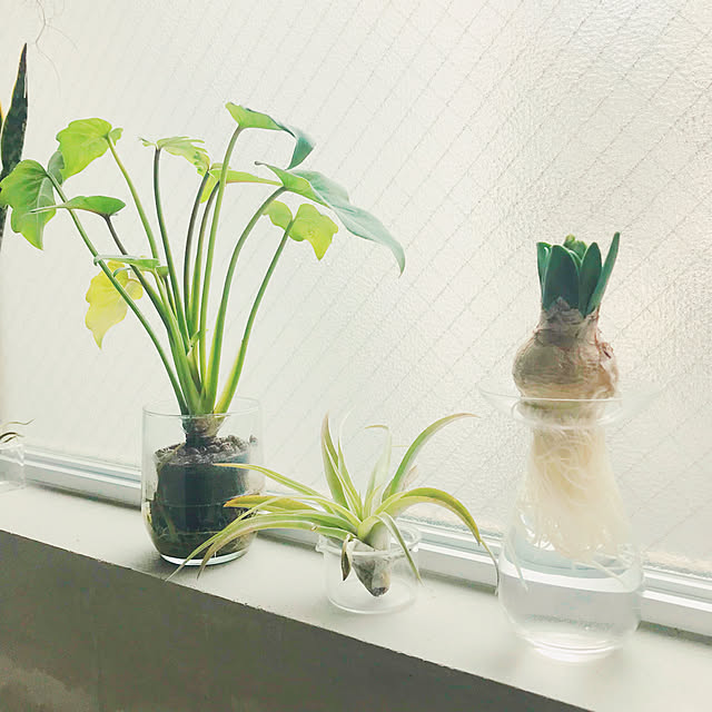 tomiさんの実例写真