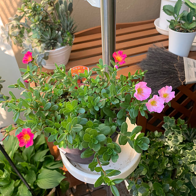 Aqettyさんの部屋