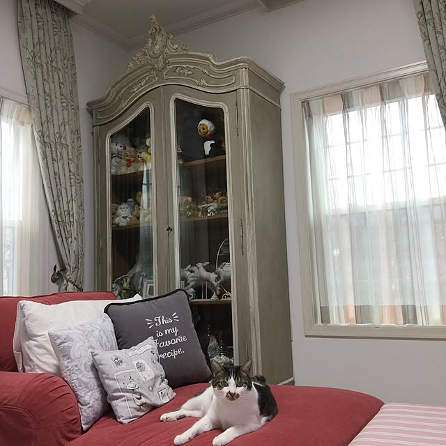 yuchiさんの実例写真