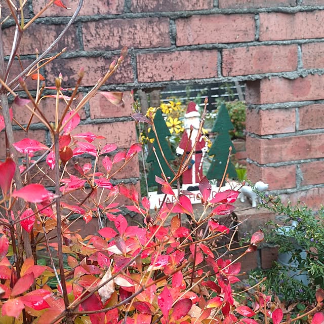 ruapyさんの実例写真