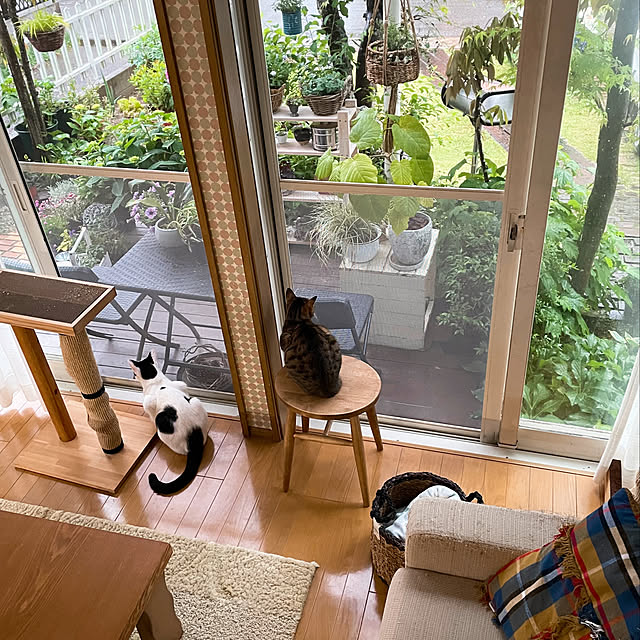 nobikoさんの実例写真
