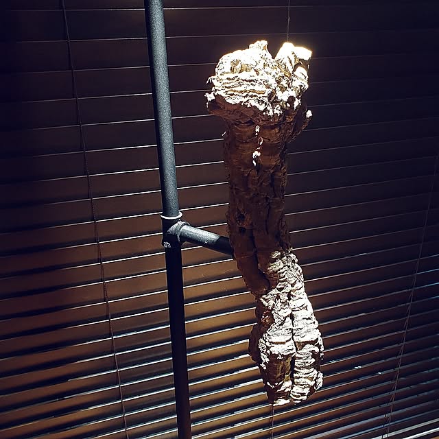 rimoleoさんの部屋