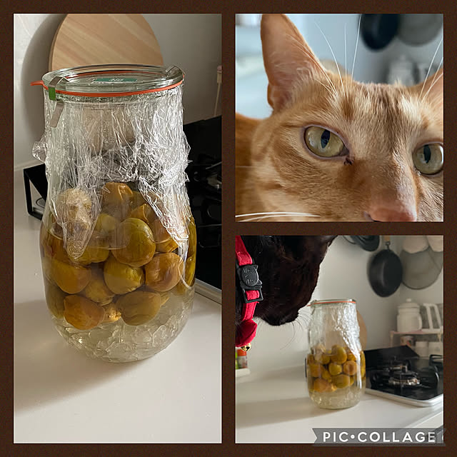 naturalさんの実例写真