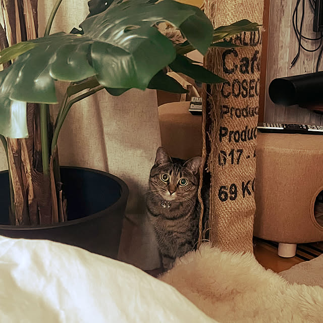 Mさんの部屋