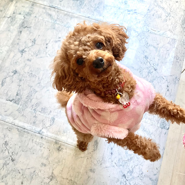 MOMOMAMAさんの部屋